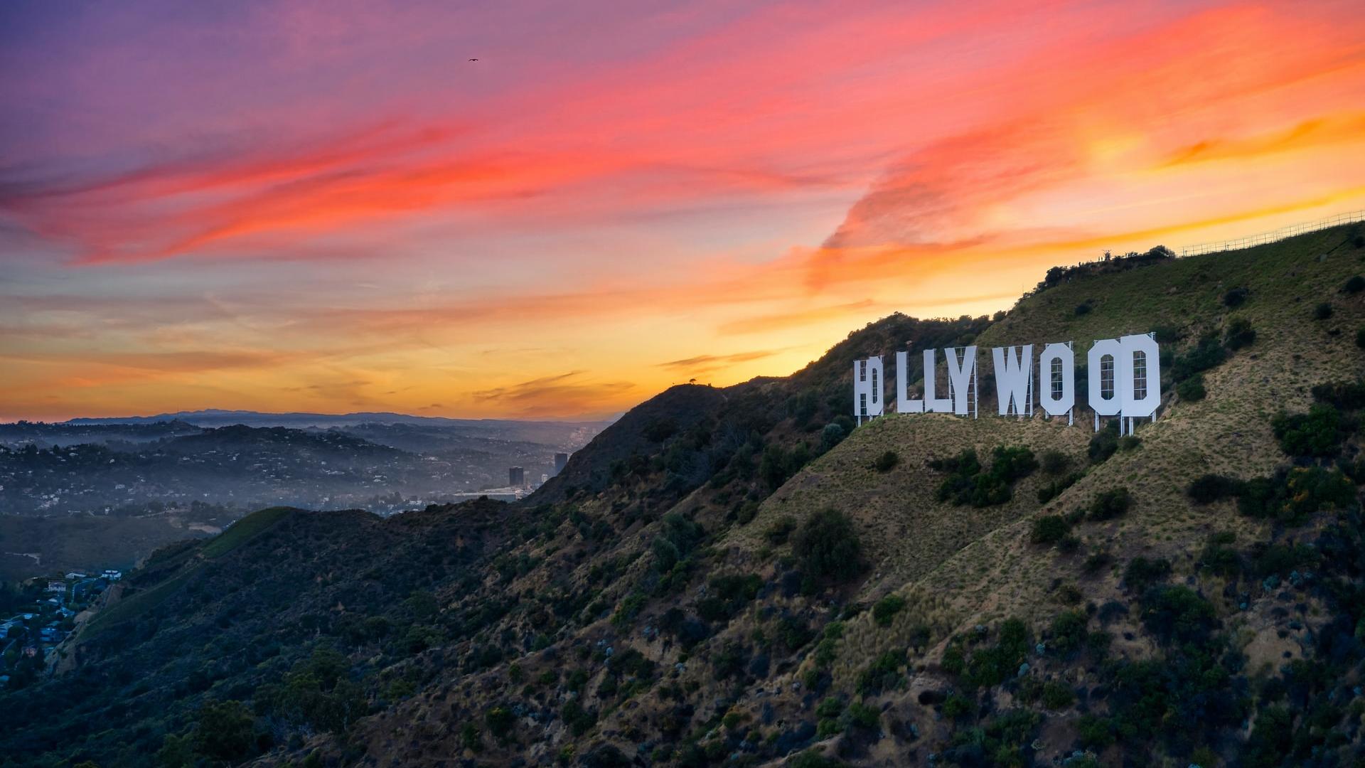 hollywood wax